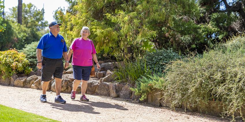 An older couple taking a leisurely walk in a park, holding hands. They look relaxed and are enjoying the outdoor greenery.
